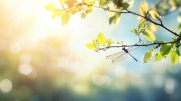 A dragonfly resting on a branch with green leaves outdoors photo
