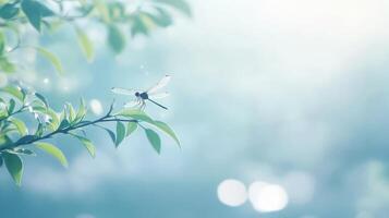 A delicate dragonfly rests peacefully on a leafy green branch photo