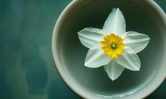 a single white flower is floating in a bowl of water photo