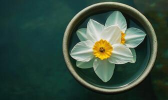 A white flower is floating in a bowl of water photo