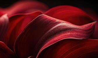 A close up of a red flower with a shiny, wet surface photo