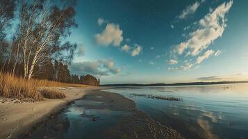 Serene Night Sky Over a Calm Lake and Sandy Shore. A picturesque landscape featuring bare trees, tranquil water, and a starlit sky. photo