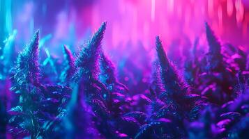 Vibrant Neon Flowers Illuminated in a Dark Setting. A close up of colorful plants bathed in blue and pink light. photo