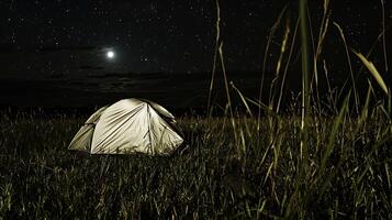 Illuminated Tent Under a Starry Night Sky. A lone tent sits in a field of tall grass, bathed in the soft glow of the moon and starlight. photo