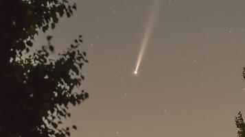 Night Sky with Comet and Stars Seen Through Tree Branches. A breathtaking astronomical image. photo