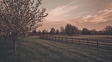 Serene Sunset over a Pastoral Landscape with Wooden Fence. A tranquil scene of a grassy field, trees, and a rustic fence at sunset. photo
