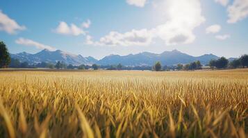 Golden Wheat Field Landscape with Mountain Range in Background. A picturesque summer scene perfect for travel brochures or nature documentaries. photo