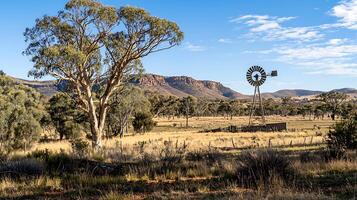 Australian Outback Landscape with Windmill and Eucalyptus Tree. A picturesque scene of rural Australia featuring a weathered windmill, native trees, and distant mountains under a clear sky. photo