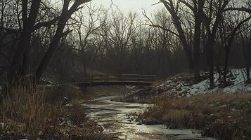 Serene Winter Creek Scene with Wooden Footbridge. A tranquil landscape photograph of a small creek flowing under a rustic bridge, surrounded by bare trees and winter's touch. photo