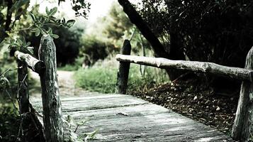 Rustic Wooden Footbridge in a Serene Green Forest. A close up image of a weathered wooden bridge leading through lush foliage. photo
