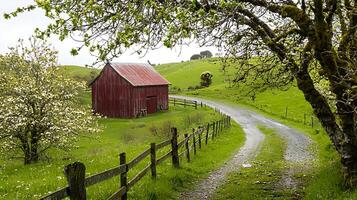 Rustic Red Barn on a Spring Country Lane. A picturesque rural scene showcasing a weathered barn, blooming trees, and a winding gravel road. photo