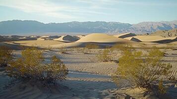 Mesmerizing Sand Dunes and Mountain Range in Desert Landscape. A breathtaking view of textured sand dunes stretching towards a majestic mountain backdrop. photo
