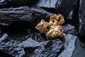Gold Nugget mining from the River in Austria, real Gold. photo
