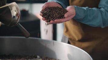 Process of roasting coffee beans roaster machine rotating mixing fresh aroma seeds Caucasian man male barista small business owner smell fragrance enjoy aromatic caffeine smelling guy work on factory video