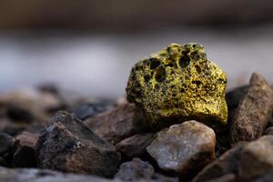 Gold Nugget mining from the River in Austria photo