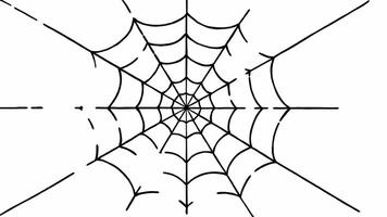 Halloween Spider Web Animation with Transparent Alpha video