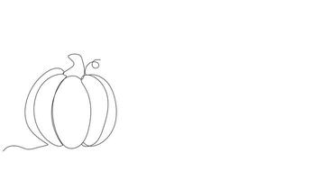 Continuous one line drawing on the theme of Thanksgiving featuring seasonal elements like turkey pumpkin and harvest with alpha channel transparency video