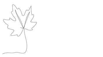 Continuous one line drawing on the theme of autumn featuring fall leaves pumpkins and seasonal symbols with alpha channel transparency video