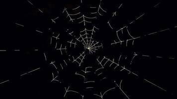 Animated Spider Web with Alpha Channel Transparency video