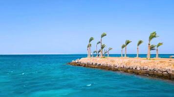 Serene summer landscape, view of bright turquoise ocean and uninhabited sandy island with palm trees, red sea in egypt, water movement and shine of waves in sunlight fresh breeze and crystal clear sky video