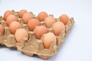 Light Brown Eggs In Cardboard Carton On White Background photo