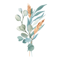 Watercolor Bouquet from Eucalyptus and Dry Spikelets of Wheat or Rye. Hand drawn floral composition. For greeting birthday cards, wedding, save the date and baby shower png