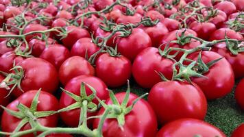 Fresh red tomatoes on display at local market video
