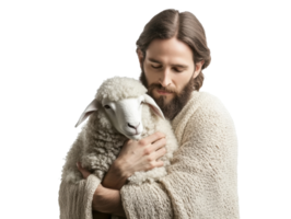 Gentle embrace of a shepherd and a sheep in a serene setting png