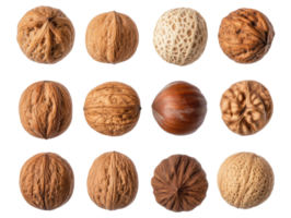 Diverse collection of nuts showcasing various textures and colors png