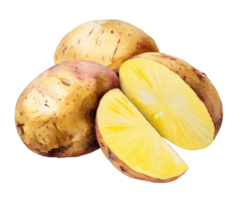 Unique potatoes on display with fresh lemon slices for cooking png