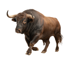 Powerful brown bull walking confidently on a plain surface png
