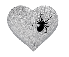 Heart shape with a spider illustration symbolizing love and fear png