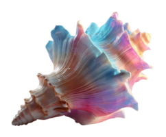 Colorful seashell with iridescent patterns for creative projects png