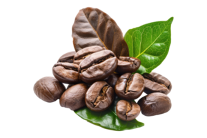 Coffee beans with leaf isolated on transparent background png