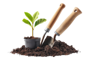 Garden tools with seedling isolated on transparent background png