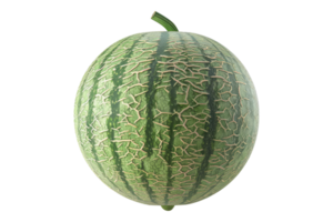 Melon isolated on transparent background png