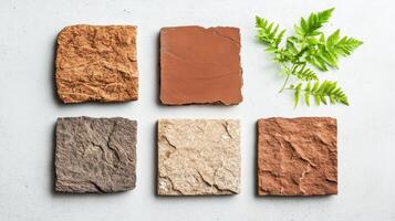 Stone tile samples lie flat on gray surface with green fern. Brown beige and gray color palette of square stone textures. photo