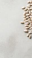 White Seeds Grouped on Concrete Surface for Gardening Projects and Concepts with Copy Space on the Left Side photo