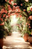 Rose Flowers cover Garden Arches in a Lush Green Outdoor Space. Pots containing Plants line the Pathway, in the Warm Sunlight. photo