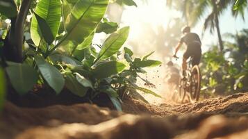 Cyclists ride bikes fast on dirt path. Tropical green plants and trees alongside trail. Sunlight shines promoting outdoor activity, health and fitness. photo