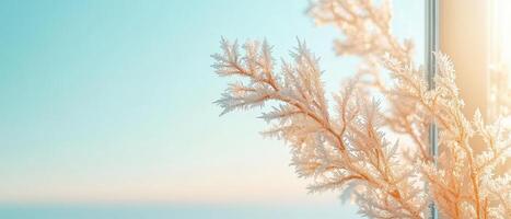 Frosted branches extend near window. Outside light shines on winter scene. Blue sky glows through window. Crystal formations on plant create cold feeling. photo