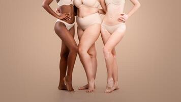 Group Of Diverse Woman In Underwear Standing Together On Beige Background In Studio, Cropped Image For Body Positive Concept. Bottom Part Of Multi-Ethnic Ladies Posing In Lingerie, Copy Space photo