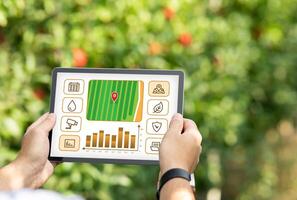 Modern technologies in agriculture, smart farming concept. Cropped of male farmer standing in garden and using mobile application for agribusiness on digital tablet, copy space photo