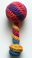 A colorful rope toy with a small ball on top photo