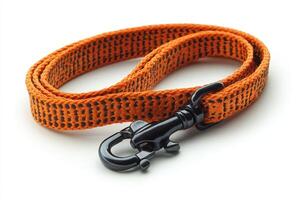 An orange and black dog leash with a hook photo