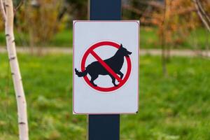 This sign clearly indicates that dogs are not allowed in the area, aiming to keep the park clean and ensure a pleasant environment for all visitors and their activities photo
