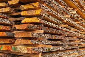 Sturdy timber planks are stacked neatly, illuminated by warm sunlight, highlighting the unique textures and colors of the wood. The setting reflects a sawmill environment photo