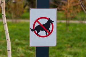 Brightly colored sign indicates that dog walking is not allowed in this park. The warning symbol features a silhouette of a dog with a prohibition mark photo