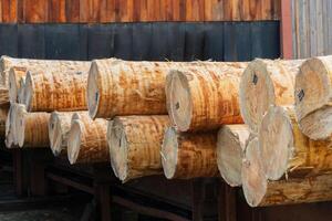 Freshly cut logs arranged neatly in stacks await their turn at the sawmill. The rustic charm of the surrounding area adds to the serene atmosphere of this lumber processing site photo