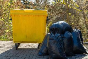 In a lively outdoor setting, a bright yellow dumpster looms alongside a pile of black garbage bags, with sunlight filtering through vibrant autumn leaves and casting playful shadows photo